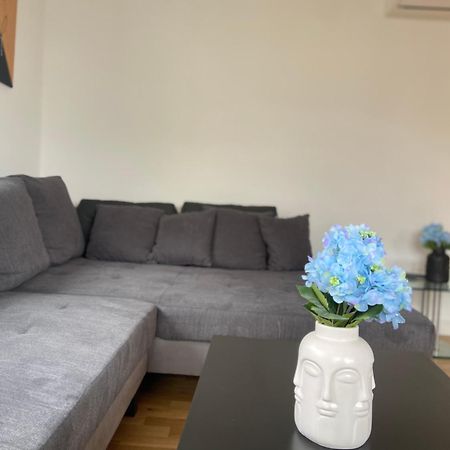 Luxury Apartment With Air Conditioning & Jaccuzzi Near Frankfurt Wiesbaden Hofheim am Taunus Ngoại thất bức ảnh